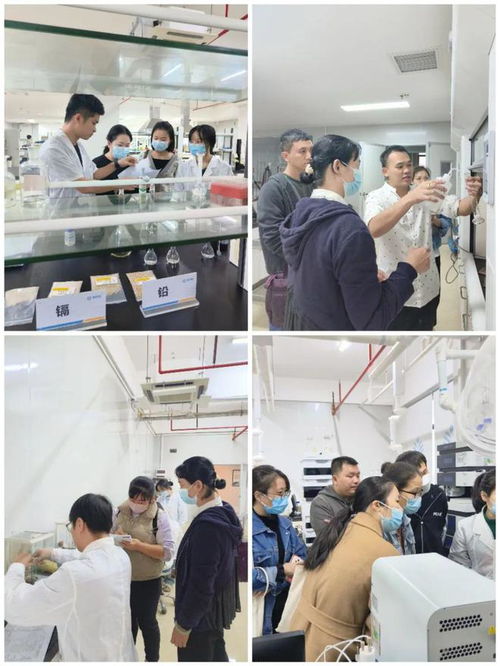 提升專業技能，守護食品安全——海南省食品安全協會成功舉辦2024年度食品檢驗員職業技能培訓班